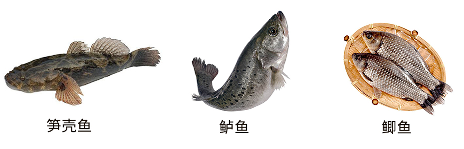 1671257799786233.jpg 未標(biāo)題444-1.jpg