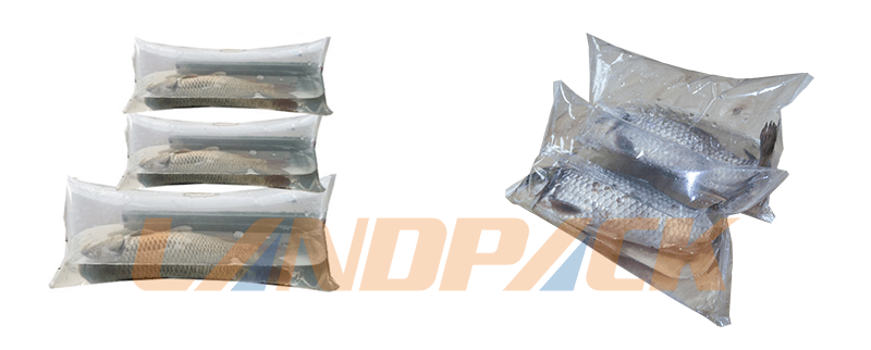 活魚(yú)包裝樣品 活魚(yú)包裝樣品